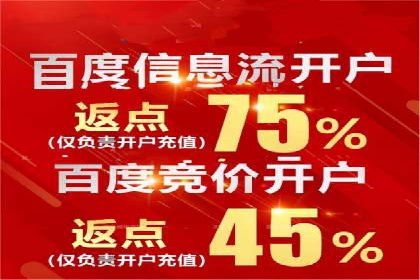 百度竞价SEM深度解析：某行业成功推广经验
